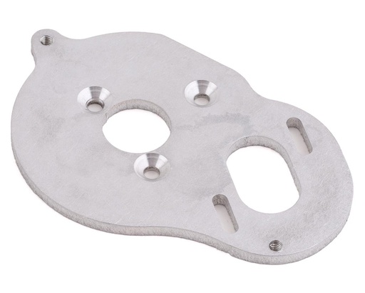 [175-18165] 175RC Associated DR10 Aluminum Motor Plate (Silver)